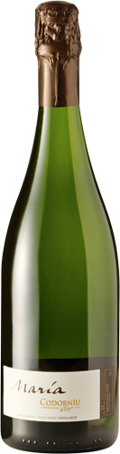 Maria Codorniu Sur Chardonnay Mesa De Cata La Cav