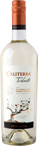 Caliterra Tributo Single Vineyard Sauvignon Blanc Mesa De Cata