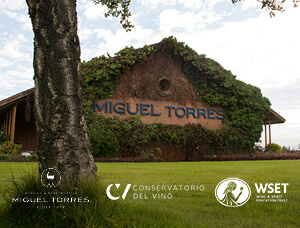 WSET NIVEL 1: Experiencia en Miguel Torres, Curicó