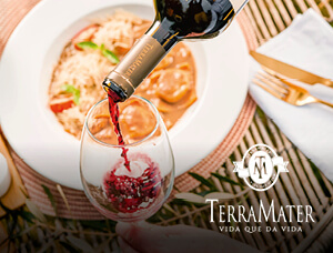 Tour TerraMater: Experiencia con Almuerzo en Zinfandel