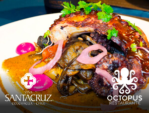 Sabores del norte junto a Viña Santa Cruz