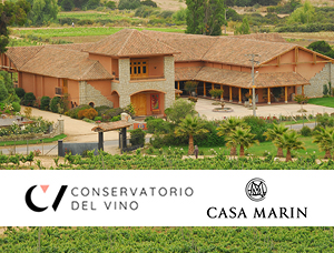 WSET Nivel 1 experiencia 360° Viña Casa Marin