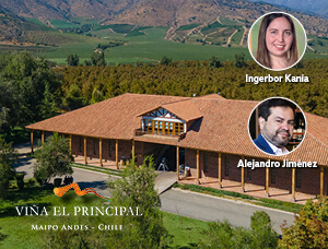 Visita Icónica a Viña "El Principal"