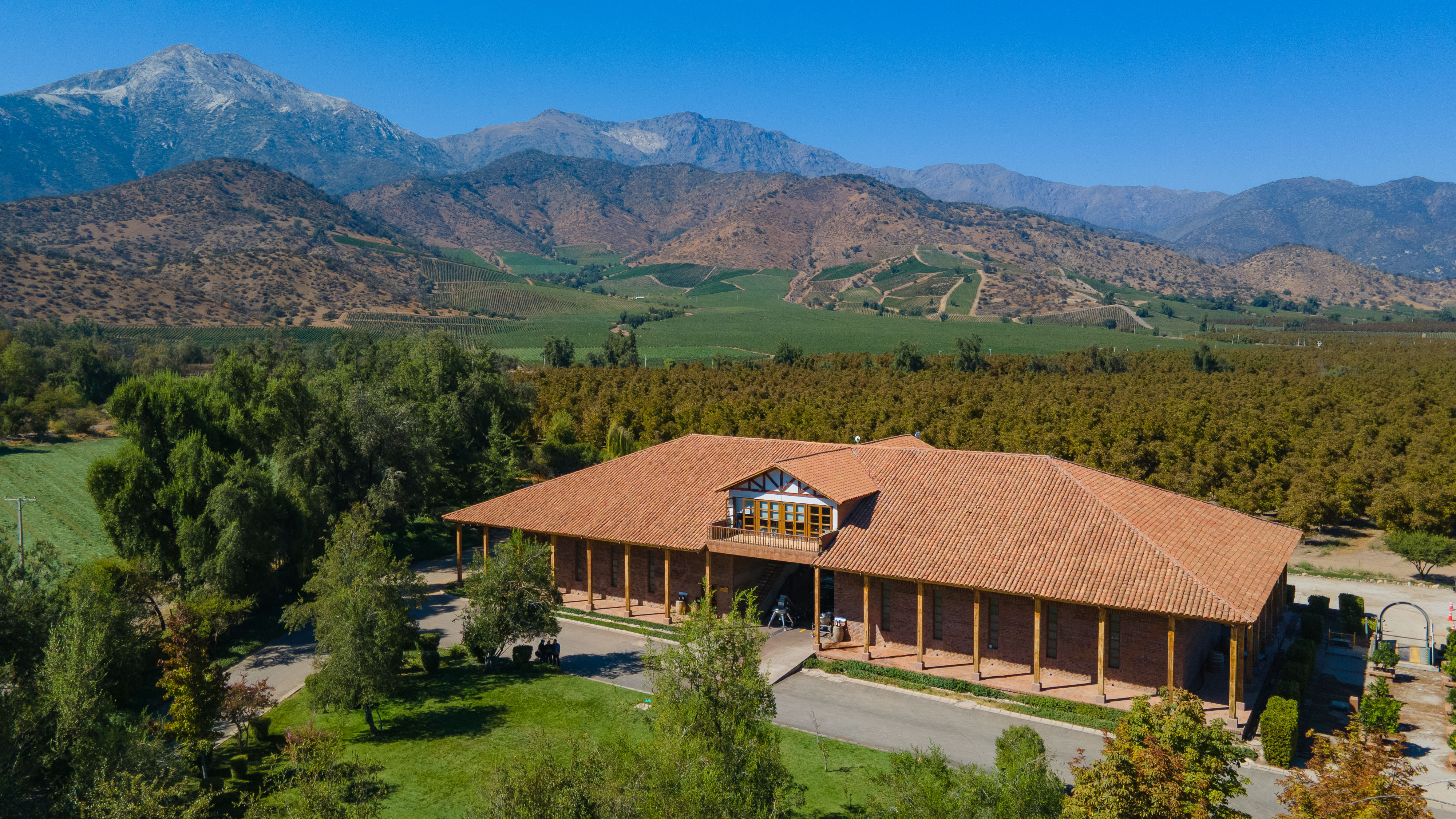 Tour Viña El Principal: Parrilla Entre Parras