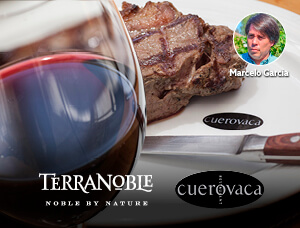 LAS CARAS DEL CARMENERE