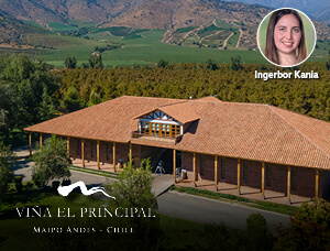 Tour Viña El Principal: Parrilla Entre Parras