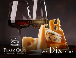 La Ruta del Vino: Pérez Cruz en Representación de Maipo