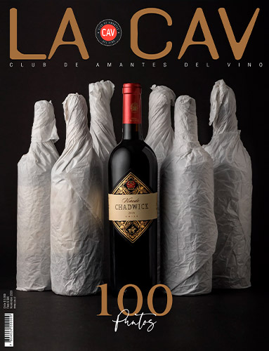 Noviembre 2020 - Revistas La CAV