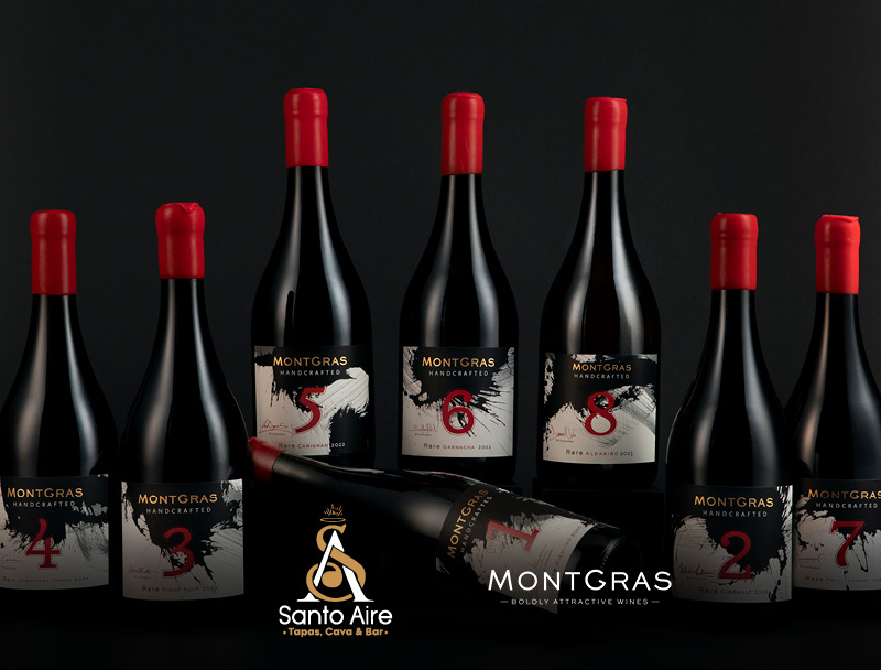 Cata de vinos MontGras Handcrafted con Maridaje