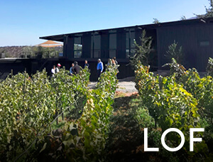 Tardeo en Viñedos LOF