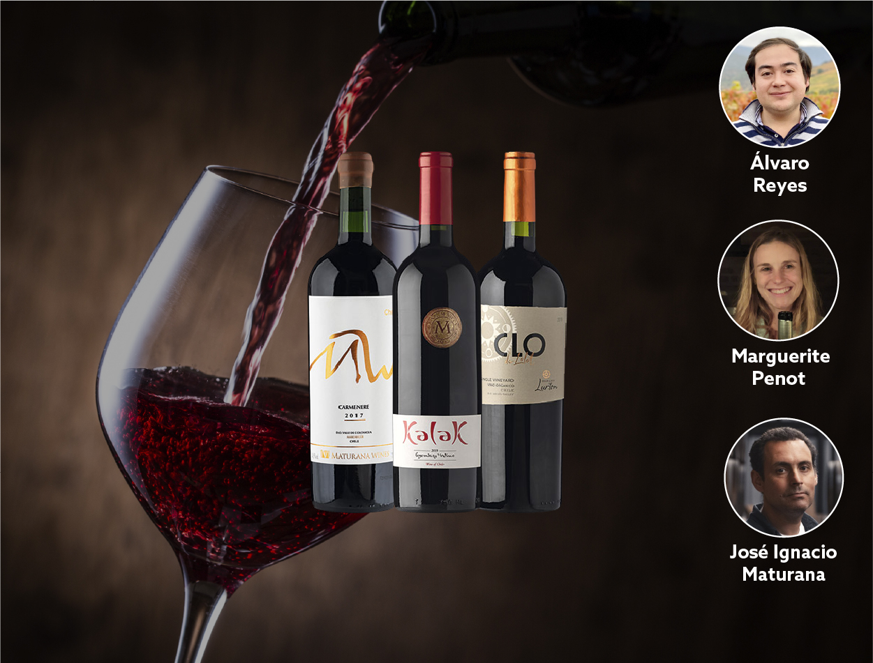 Cata online vinos súper Premium