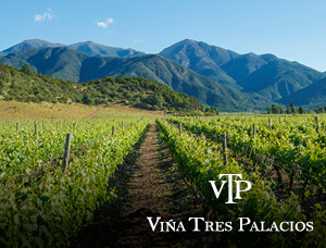 Entre Barricas y Copas: Tour a Viña Tres Palacios
