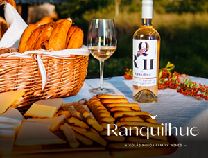 Open House Viña Ranquilhue