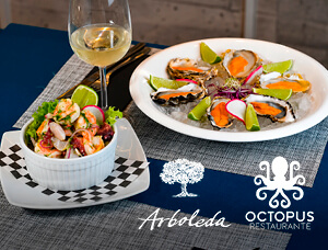 De Aconcagua al Norte Grande