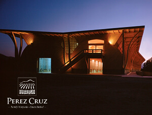 Tour + Almuerzo a Viña Pérez Cruz: Tradición y Carácter del Maipo