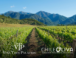 Tour viña Tres Palacios +  Cata de aceite de oliva