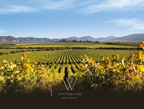 Tour VIP a Viña Ventisquero bodega Trinidad