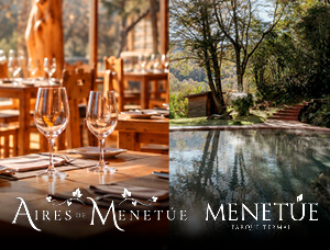 Tour Wine&Wellness Aires de Menetúe