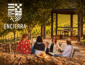 Tour picnic dieciochero