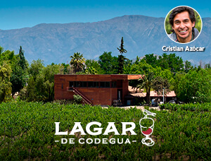 Tour a Viña Lagar de Codegua