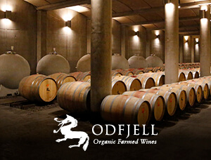 Tour con almuerzo en Viña Odfjell