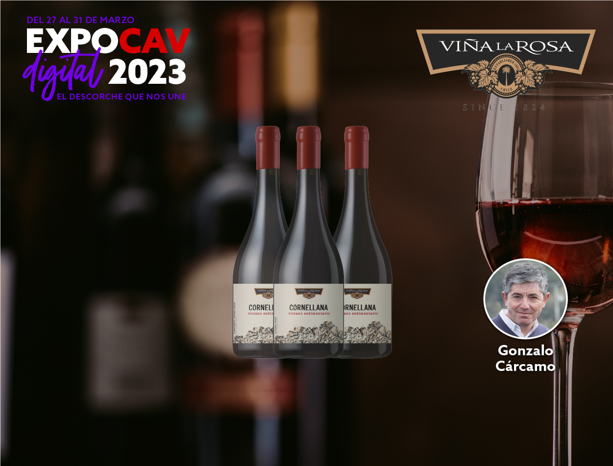 Cata online suelos y vino con Viña La Rosa