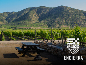 Tour a Viña Encierra: Una Ruta Imperdible Para los Amantes del Vino