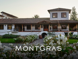 Tour con almuerzo a Viña MontGras