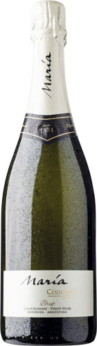 Maria codorniu sur brut