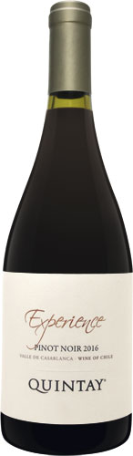 Quintay experience pinot noir 2016