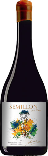 Maturana wines semillon 1928 vines semillon 2017
