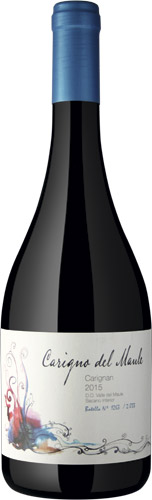 Moretta wines carigno del maule carignan 2015