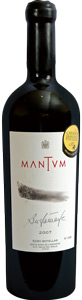Bustamante mantum 2007