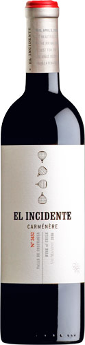 Viu manent el incidente 2016