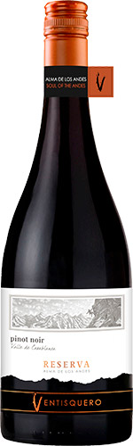 Ventisquero reserva pinot noir 2018