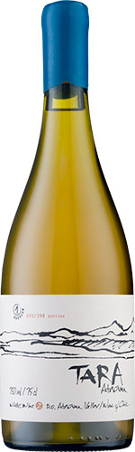 Ventisquero tara atacama (solera) viognier