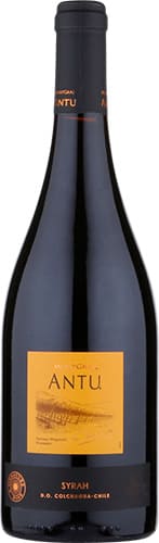 Montgras antu syrah 2019