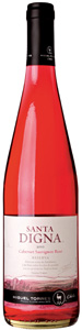 Miguel torres santa digna cabernet sauvignon 2010