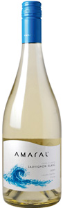 Amaral sauvignon blanc 2011