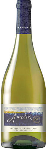 Concha y toro amelia chardonnay 2020