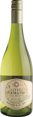 Caliterra tributo single vineyard sauvignon blanc 2022