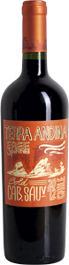 Terra andina bold cabernet sauvignon 2012