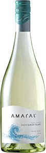 Amaral sauvignon blanc 2013