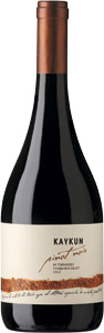 Terranoble kaykun pinot noir 2010