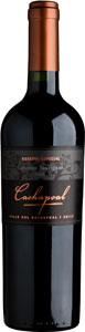 Cachapoal reserva especial cabernet sauvignon 2008