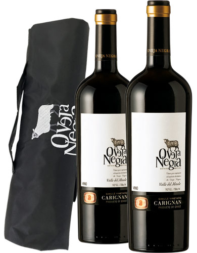 Pack Oveja Negra Single Vineyard Carignan + Manta Picnic