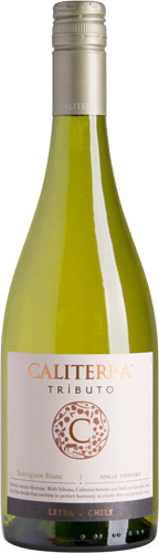 Caliterra Tributo Single Vineyard Sauvignon Blanc 2017