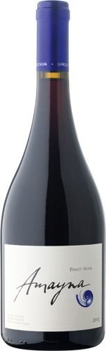 Garces Silva Amayna Pinot Noir Premium 2015