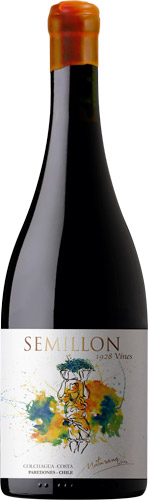 Maturana Wines Semillon 2018