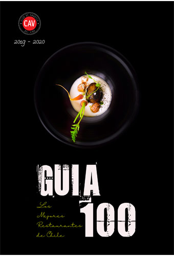 Guia 100 Año 2019 - 2020